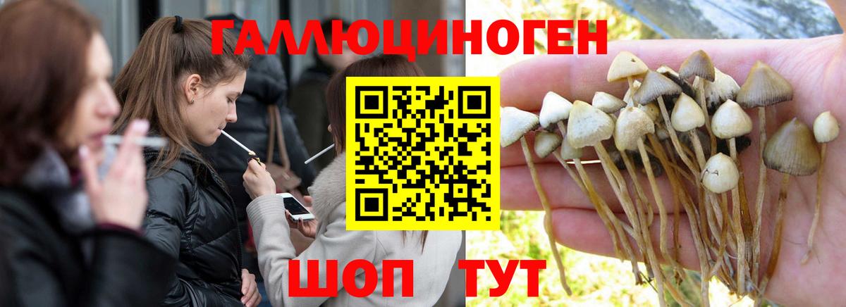 Галлюциногенные грибы Magic Shrooms  Галлюциногенные грибы Magic Shrooms  Юрга  купить наркотики цена  Вход с VPN 