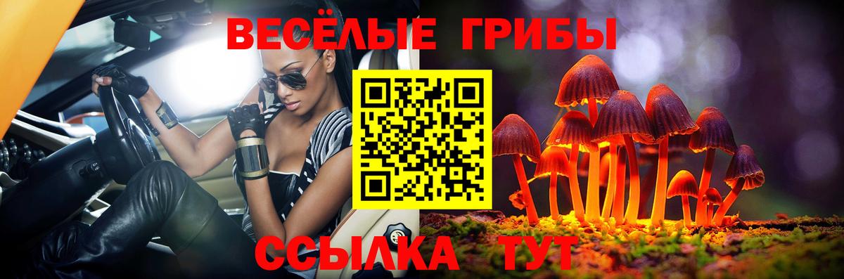 Галлюциногенные грибы MAGIC MUSHROOMS Юрга
