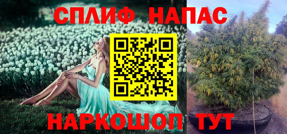 Каннабис планчик Юрга
